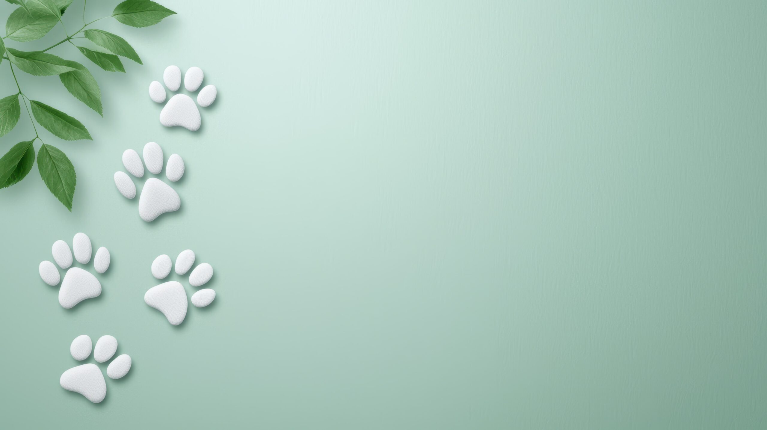 paw-prints-leaves-mint-green-background-min-scaled Pets and Paws